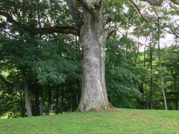 Photo for Doddridge County Park Endowment Fund Fundraiser